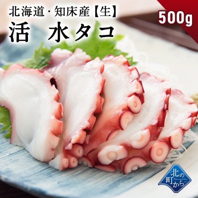 タコ 北の町から 北海道知床 羅臼発 漁師直送便