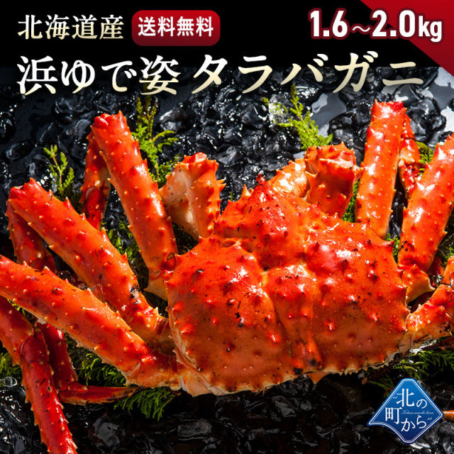 タラバガニ 北海道 オホーツク海産 浜茹で急速冷凍 姿 1 6kg 2 0kg 栄養価の高い身の引き締まったタラバガニ たらばがに 蟹 カニ かに 北の町から 北海道知床 羅臼発 漁師直送便