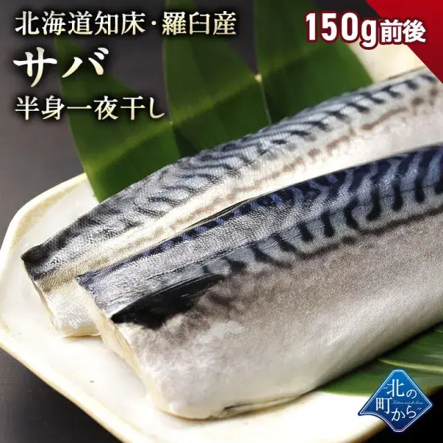 サバ半身一夜干し 知床・羅臼産 150g前後 鯖 さば