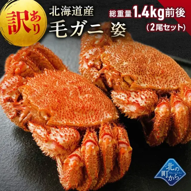 訳あり 毛ガニ 北海道産 総重量1.4kg前後（2尾セット） 冷凍 姿 身入り8割、足折れ、足無し、爪無し等訳ありの毛ガニをお得価格で！ 毛蟹 毛カニ 毛かに 毛がに カニ 蟹 かに わけあり 規格外 ボイル 送料無料