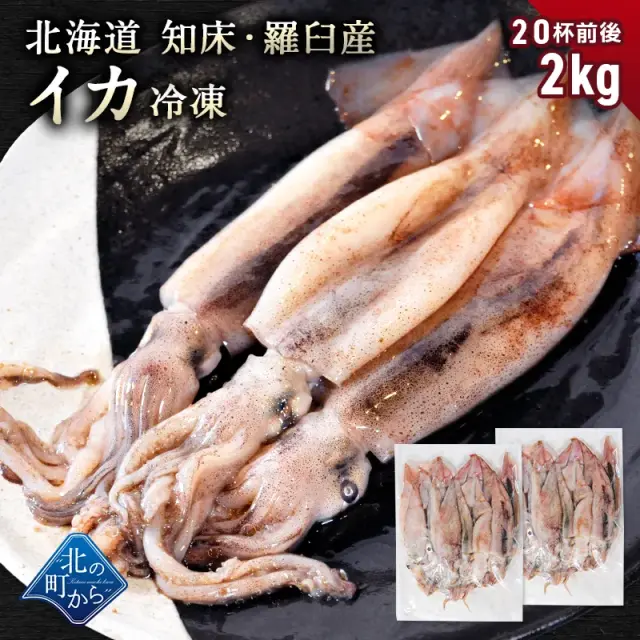 スルメイカ 2kg(20杯前後) 北海道 知床・羅臼産 するめいか まめいか 豆いか いか イカ 烏賊 生冷 冷凍 お取り寄せ 国産