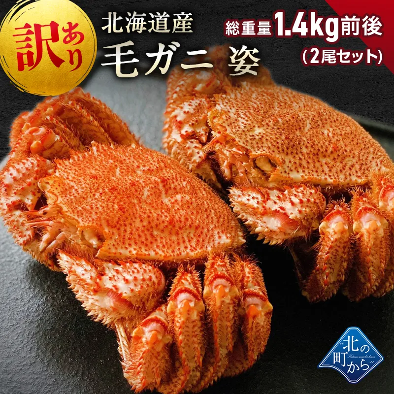 訳あり 毛ガニ 北海道産 総重量1.4kg前後（2尾セット） 冷凍 姿 身入り8割、足折れ、足無し、爪無し等訳ありの毛ガニをお得価格で！ 毛蟹 毛カニ 毛かに 毛がに カニ 蟹 かに わけあり 規格外 ボイル 送料無料