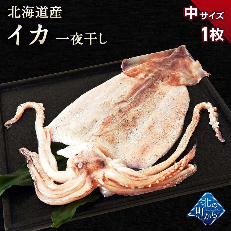 スルメイカ 知床産 イカ一夜干し中1枚 肉厚の北海道産スルメイカを一塩にて一夜干しにしました するめいか いか イカ 烏賊 北の町から 北海道知床 羅臼発 漁師直送便