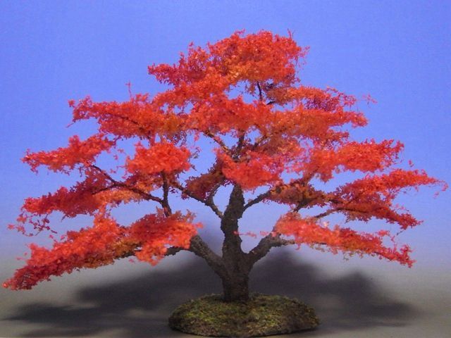 もみじ様 Yさま専用もみじ80サイズ