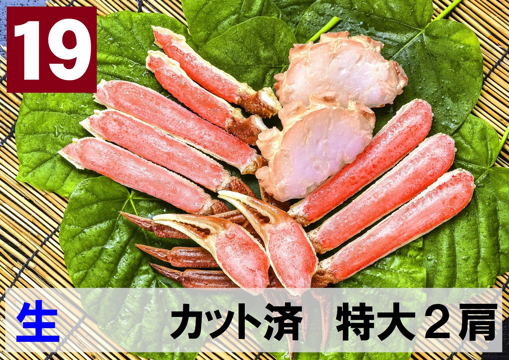 19)極上生本ズワイガニ カット済　特大サイズ 2肩相当 約770g
