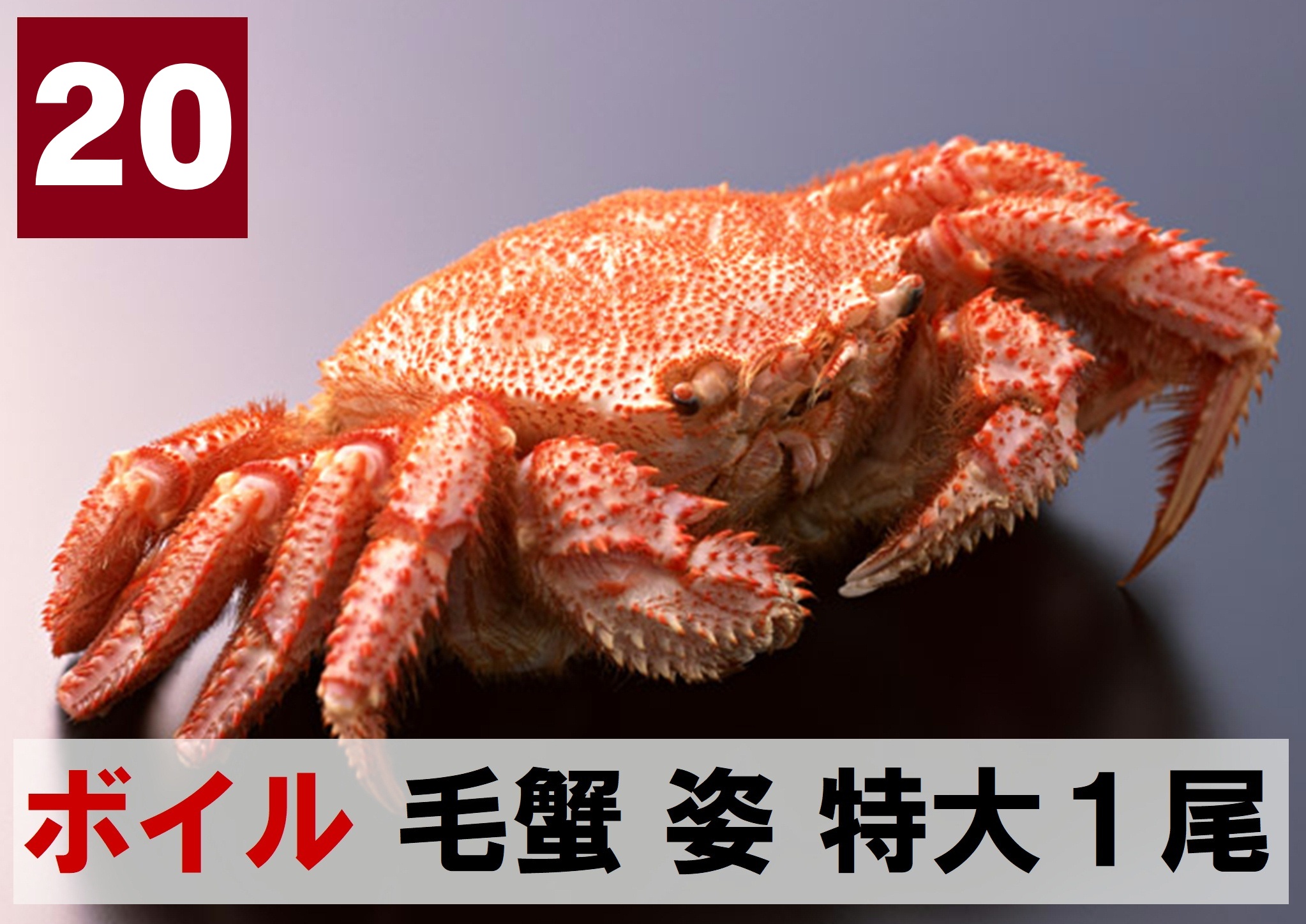 20) 極上ボイル毛ガニ姿　特大 1尾  約700ｇ
