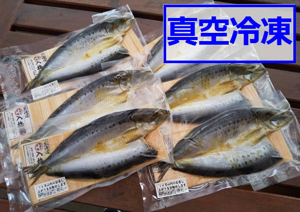【真空冷凍】入梅鰯　5枚＋1枚サービス　（北海道産）