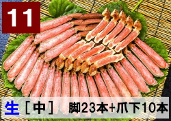 11)極上生本ズワイ　かにしゃぶ用【中】 脚23本+爪下10本 約1.0kg