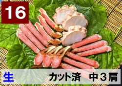 16)極上生本ズワイガニ カット済　中サイズ 3肩相当 約630g