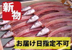 【新物】とろ秋刀魚セット 10＋2枚サービス