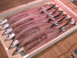 12枚／とろ秋刀魚セット 10＋2枚サービス