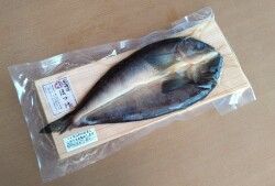 【真空冷凍】ほっけ　大（北海道産）