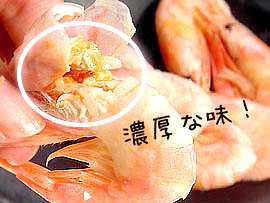 北山水産 25 甘エビ ボイル 頭味噌あり 600g 約70尾 北山水産 25 甘エビ ボイル 頭味噌あり 600g 約70尾