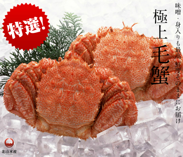 海北さん専用！ VENTLAX × 38explorer collaboration 38-kT (MIYABI)