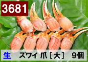3681)極上生本ズワイガニ 爪　大サイズ 9個
