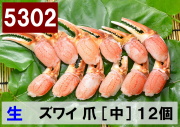 5302)極上生本ズワイガニ 爪　中サイズ 12個