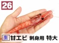 26) 甘エビ 刺身用　特大 甘み強 1ｋｇ　（約50尾）