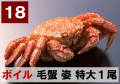 18) 極上ボイル毛ガニ姿　特大 1尾  約700ｇ