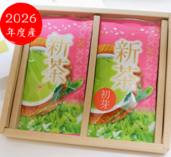 宇治新茶初芽2026
