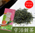 初芽