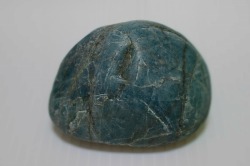 糸魚川産　海石