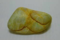 糸魚川産　海石