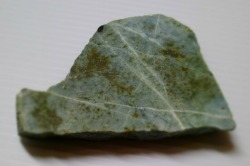 糸魚川産　翡翠原石　板