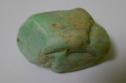糸魚川産　海石