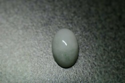 糸魚川産　本翡翠　ルース
