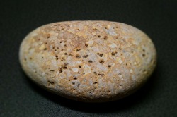 天然石　糸魚川産　姫川薬石
