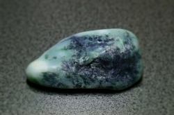 糸魚川産　海石