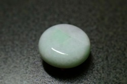 帯留