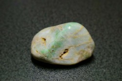 糸魚川産　海石