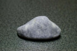 糸魚川産　海石