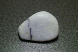 糸魚川産　海石