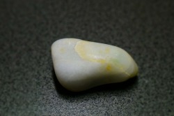 糸魚川産　海石