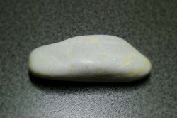 糸魚川産　海石