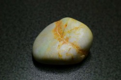 糸魚川産　海石
