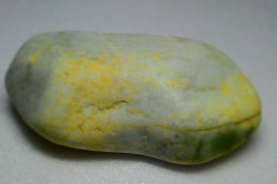 糸魚川産　海石