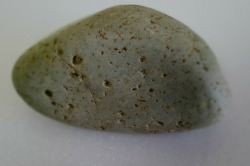 糸魚川産　海石
