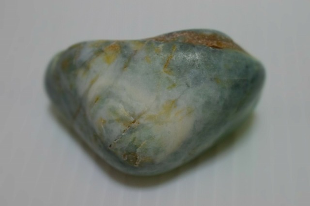 ★貝化石★糸魚川来馬層【大所川・転石・川ズレ・ウブ914ｇ】 糸魚川産 海石