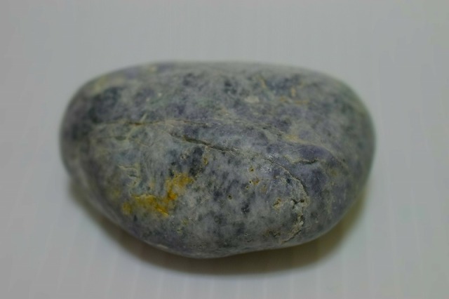 ★貝化石★糸魚川来馬層【大所川・転石・川ズレ・ウブ914ｇ】 糸魚川産 海石