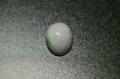 糸魚川産　本翡翠　ルース