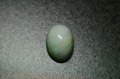 糸魚川産　本翡翠　ルース
