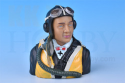 OKモデル カサブランカAeroBatic Vpro4-30~40クラス2-25 hakoake.jpg