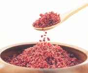 紀州南高梅　乾燥梅 40g（フリーズドライ梅肉）