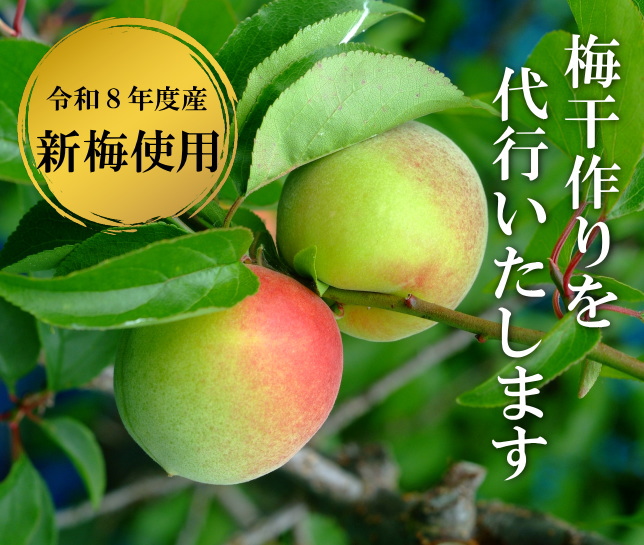 【令和8年度産新梅・10月中旬お届け】紀州南高梅　手まかせ梅しそ　2.3kg