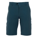 GREYSON Men's Shorts ショーツ Montauk Aegean ブルーグリーン
