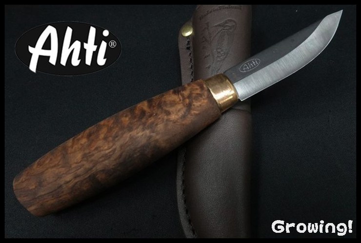 Ahti-BRI14401-1.jpg