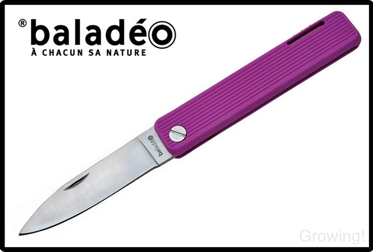 BAL-ECO303-1.jpg